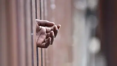 Federal government violated agreement in family separation immigration case, judge rules