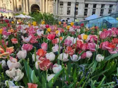 20 Mother’s Day options to honor the mom or mother figure in your life
