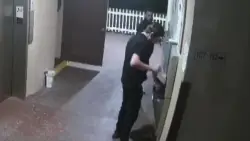 Thieves target mailboxes at Sunrise apartment complex; US Postal Inspection Service offering up to $100K reward for information
